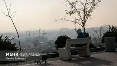 تمدید طرح زوج و فرد از در منازل و محدودیت تردد کامیون‌ها در تهران