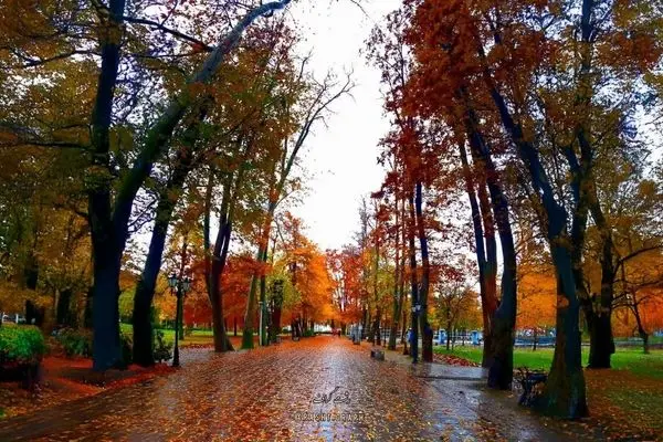 خوش آب و هوا ترین شهرهای ایران برای سفر پاییزی