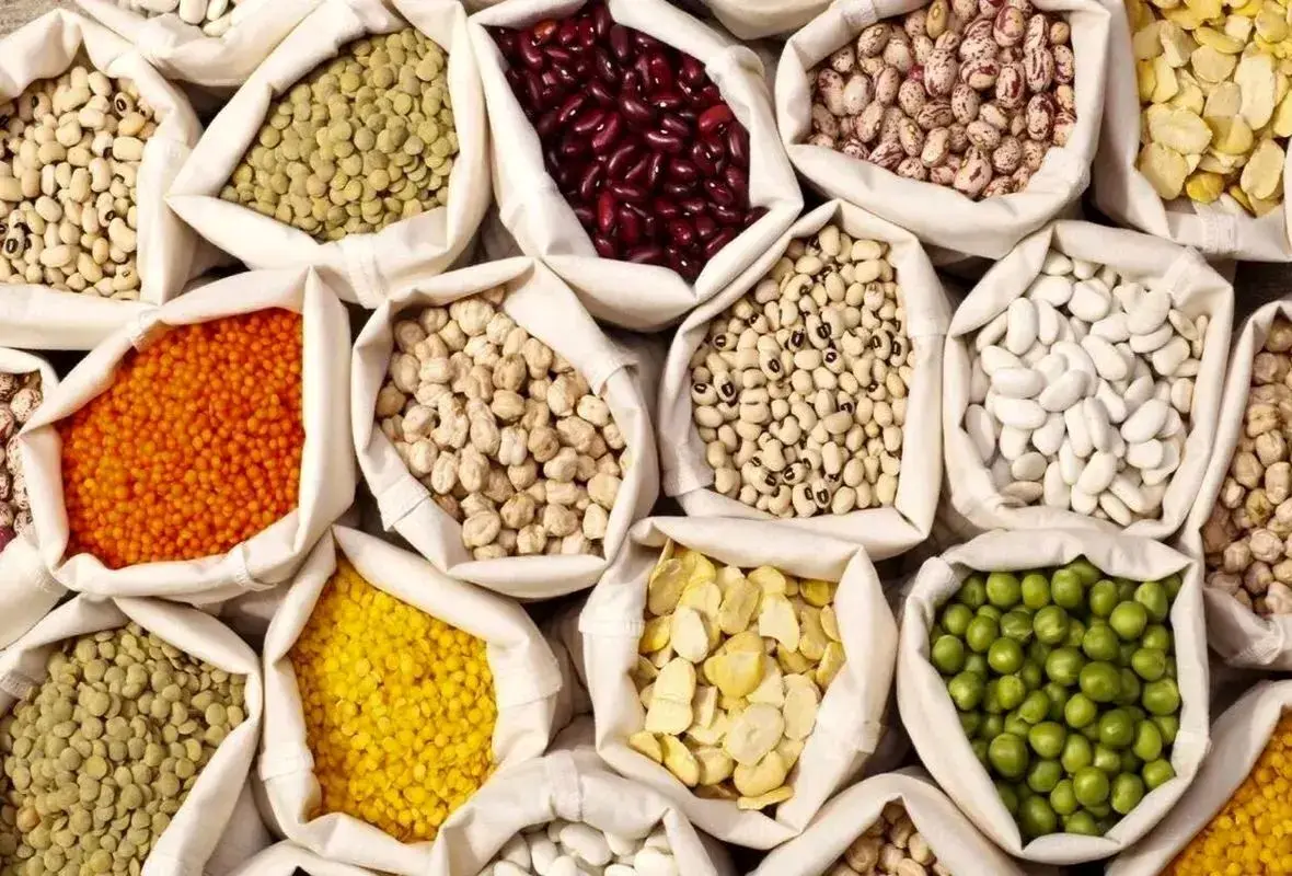 لوبیا چیتی رکورد گرانی را شکست