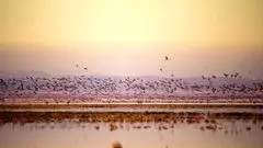 یک دریاچه دیگر در ایران خشک شد