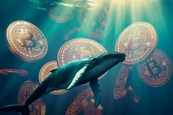 سیگنال ریزش قیمت بیت کوین به نهنگ‌ ها