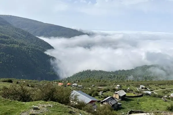 افزایش محسوس دما در شمال کشور

