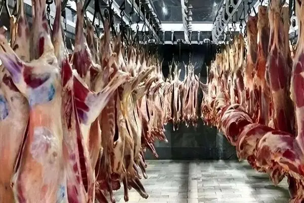 قیمت گوشت گوسفندی و قیمت گوشت گوساله امروز تهران ۷ شهریور ۱۴۰۴