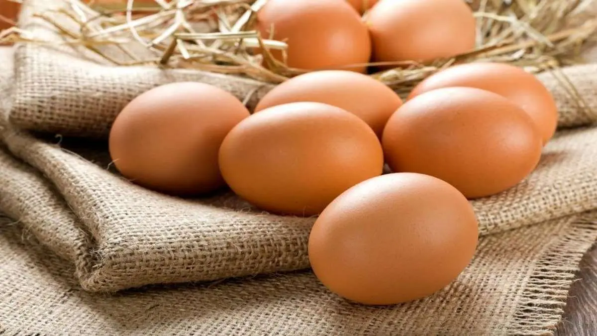 کشف عجیب درباره مصرف تخم مرغ