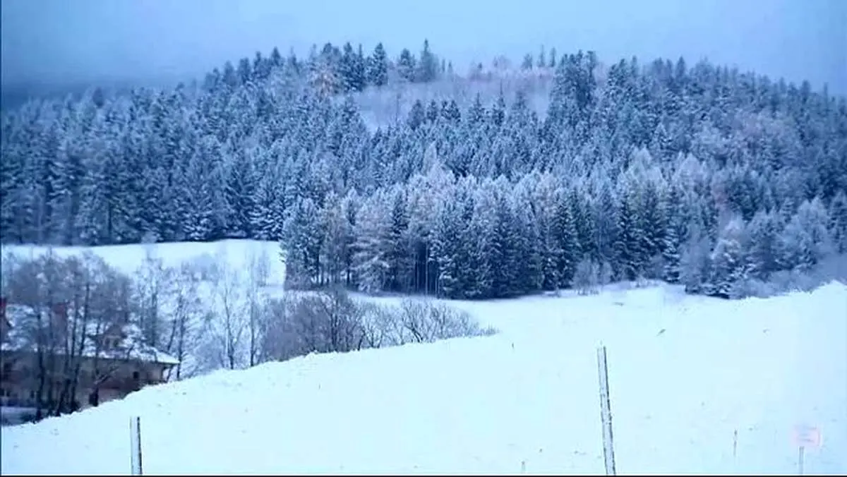 ورود برف و  سرمای قطبی به این مناطق