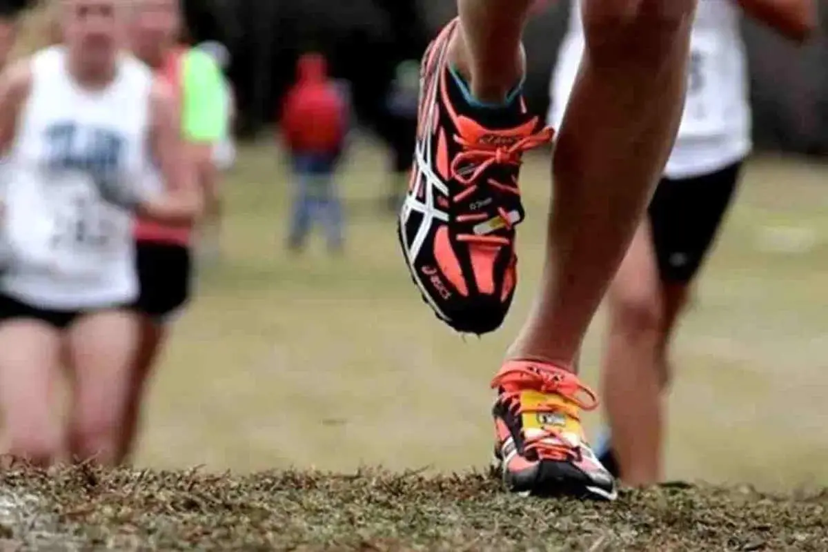 اتهام تجاوز جنسی به ورزشکاران ایران/ دستگیری دو دونده و یک مربی در کره جنوبی 