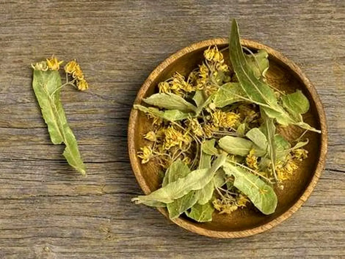 دمنوش موثر برای کاهش وزن و سوزاندن چربی ها