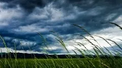  ۱۱ استان منتظر سرما و بارش باشند/ هشدار  تگرگ و کاهش نسبی دما 