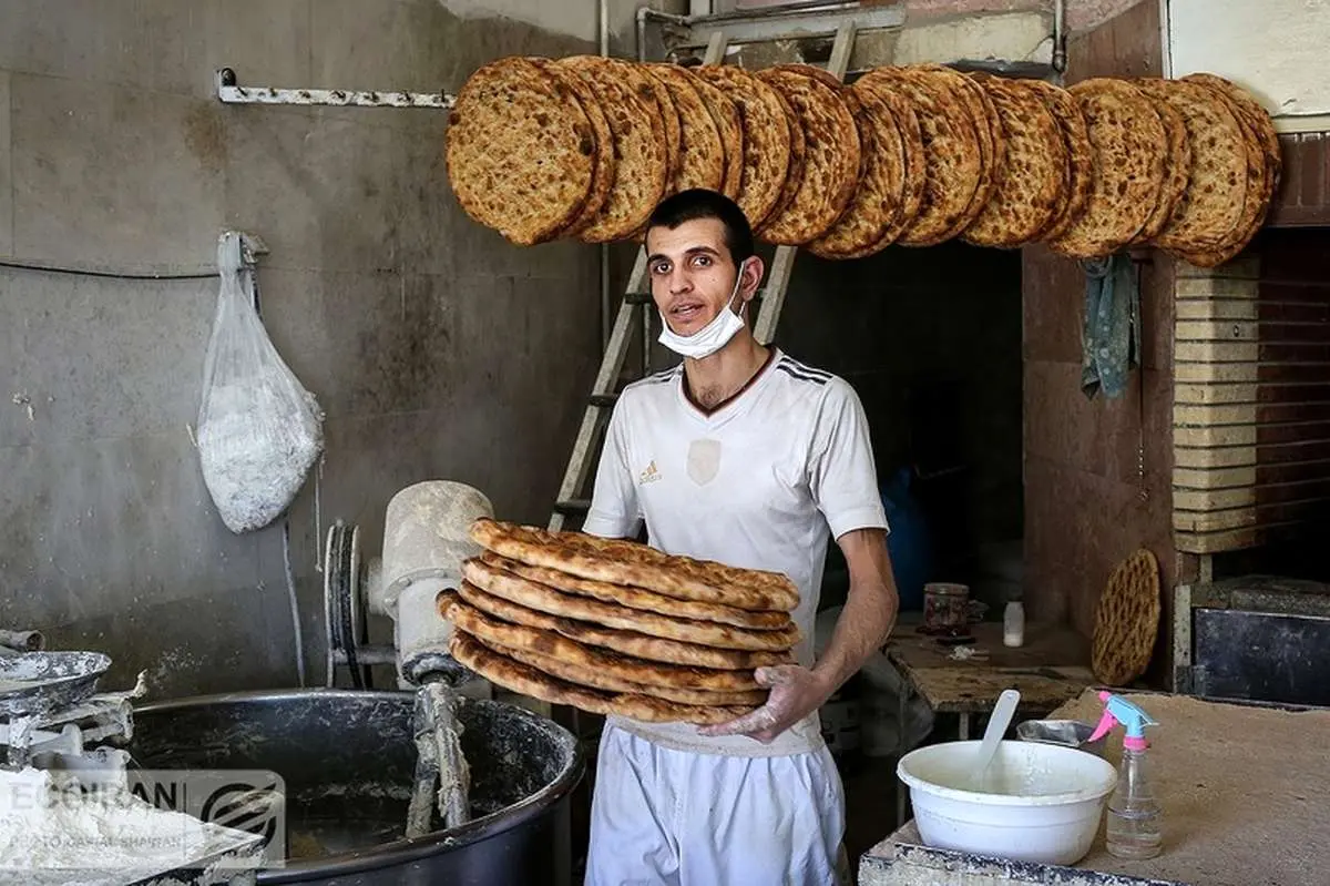 معاون اقتصادی استانداری تهران" هنوز اتفاقی درباره افزایش قیمت نان در پایتخت نیافتاده