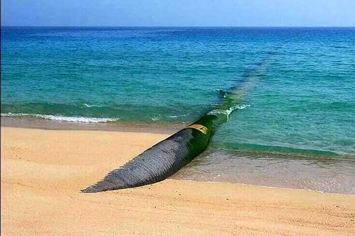  پایداری آب یا رویایی گران‌قیمت