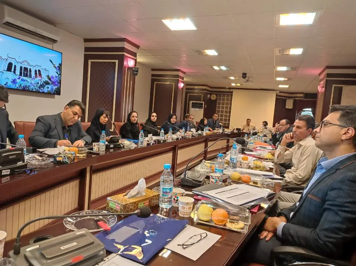 نشست مشترک مدیران ارشد بیمه دانا و شرکتهای تابعه وزارت نیرو در کرمان