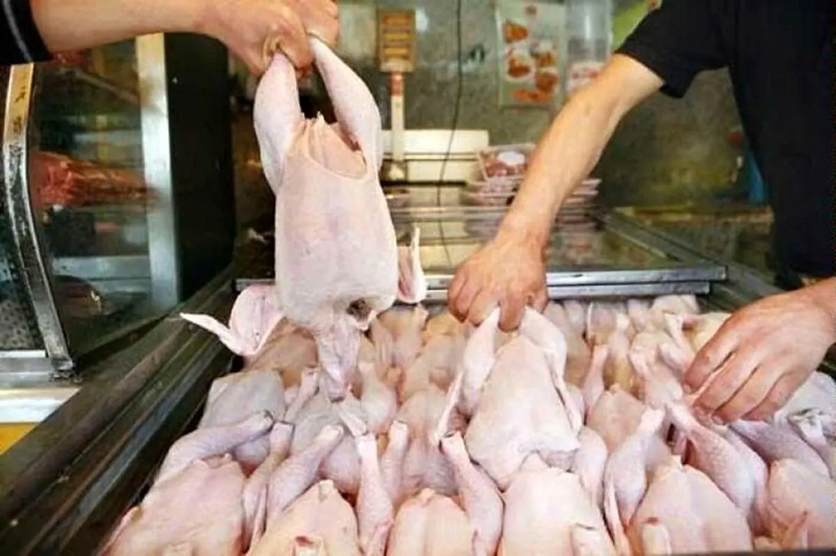 قیمت گوشت مرغ امروز ۱ خرداد ۱۴۰۴ 
