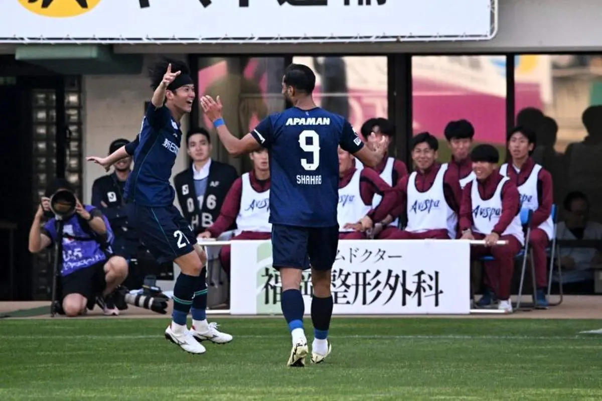 سیل توصیف از گل شهاب: وحشیانه، غیرمعقول و تاریخی!