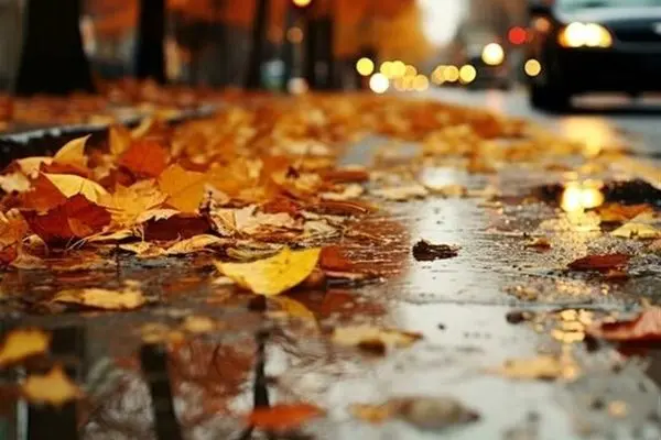 وضعیت هوای تهران فردا دوشنبه ۱۰ شهریور ۱۴۰۴ 