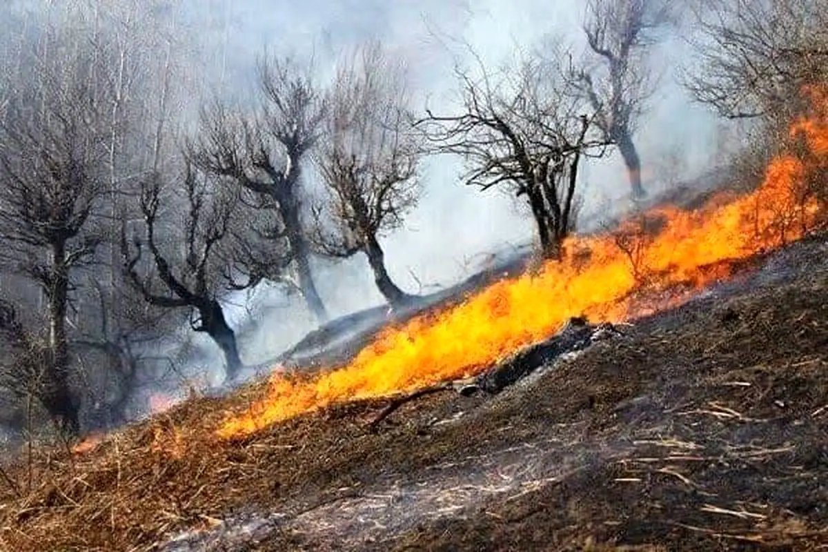 تکذیب ماجرای آتش‌سوزی در پارک ارم 
