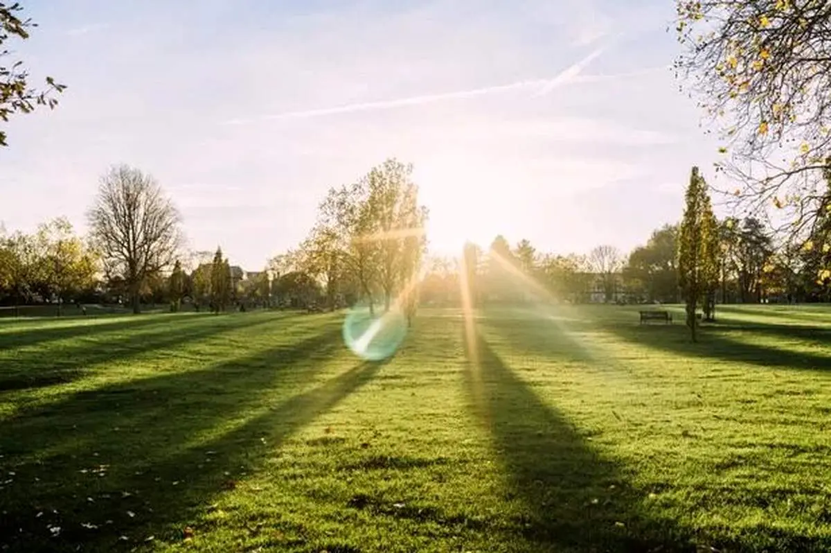 کاهش خطر پوکی استخوان با طبیعت!