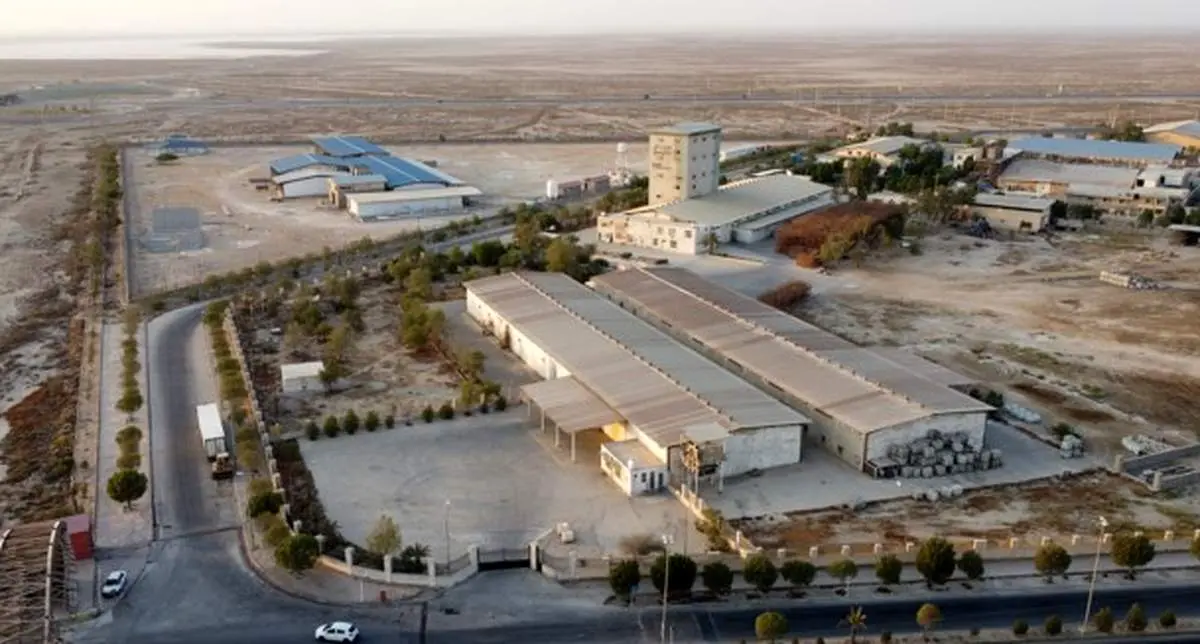 تولید خوراک میگو در راستای رشد صنعت آبزیپروری