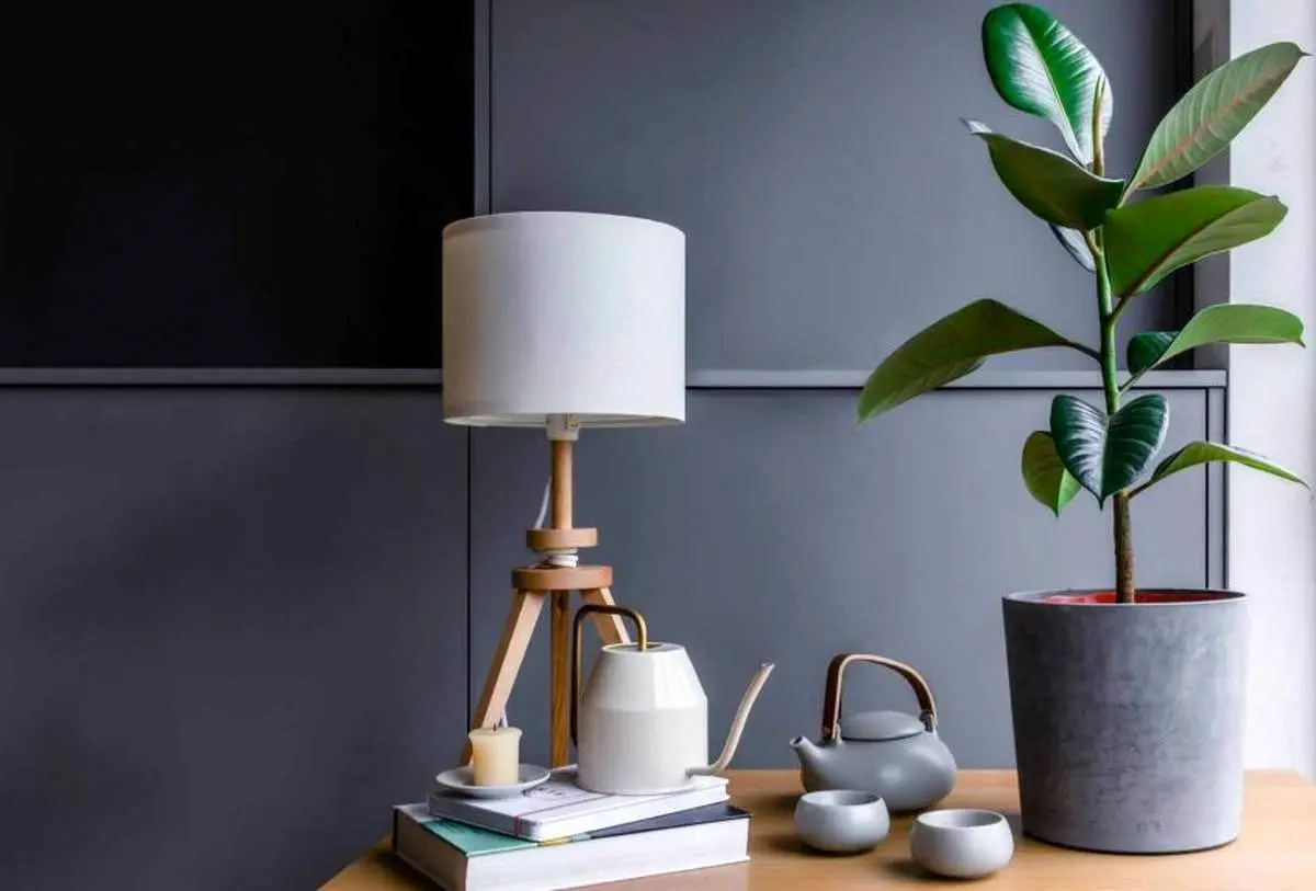 با این گل های آپارتمانی به جنگ آلودگی هوا بروید!